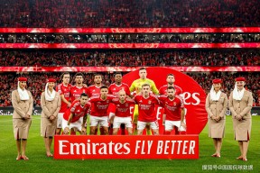 转会期突围战来临，本菲卡围绕意甲完成体检，信心回归，阵容厚度经受考验的简单介绍